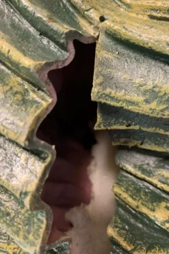 TRICK OR TREAT STUDIOS Ghoulies II: Fish Ghoulie Movie Prop -Creepsville Horror Shop Goth Puppet