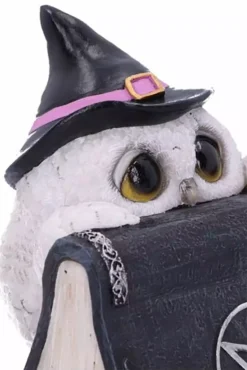 NEMESIS NOW Owl's Spell Statue -Creepsville Horror Shop u5843u1 4copy