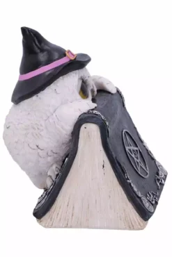 NEMESIS NOW Owl's Spell Statue -Creepsville Horror Shop u5843u1 5copy